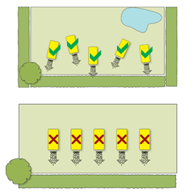 Beehaus Dimensions