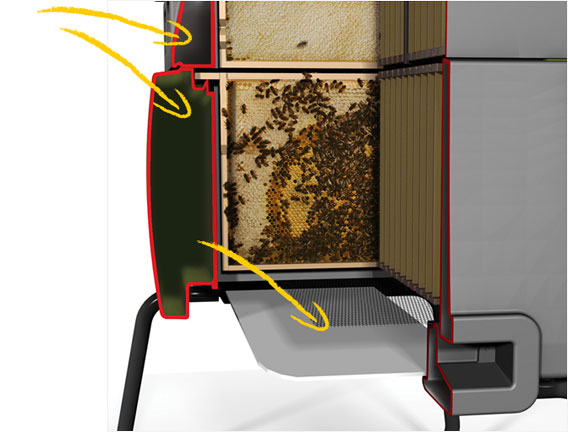 Double isolation murale garde vos abeilles fraîche en été et chaude en hiver!