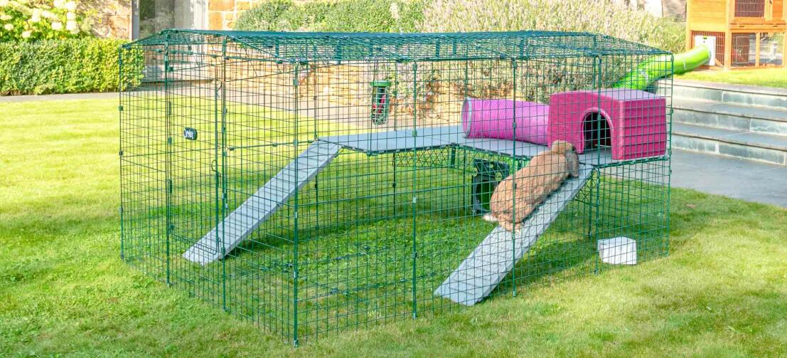 Cage d'extérieur Rabbit Space pour lapin et cochon d'inde