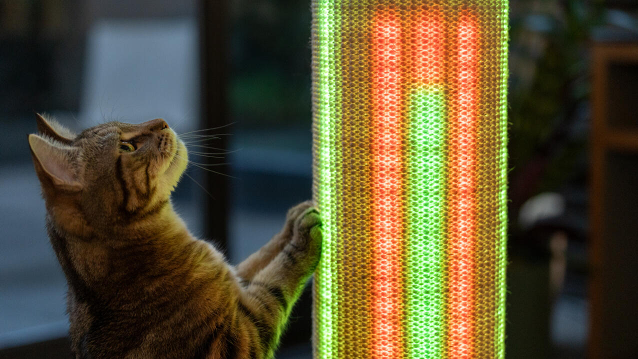 Chat s'amusant avec le mode lumineux d'un griffoir pour chat Switch 