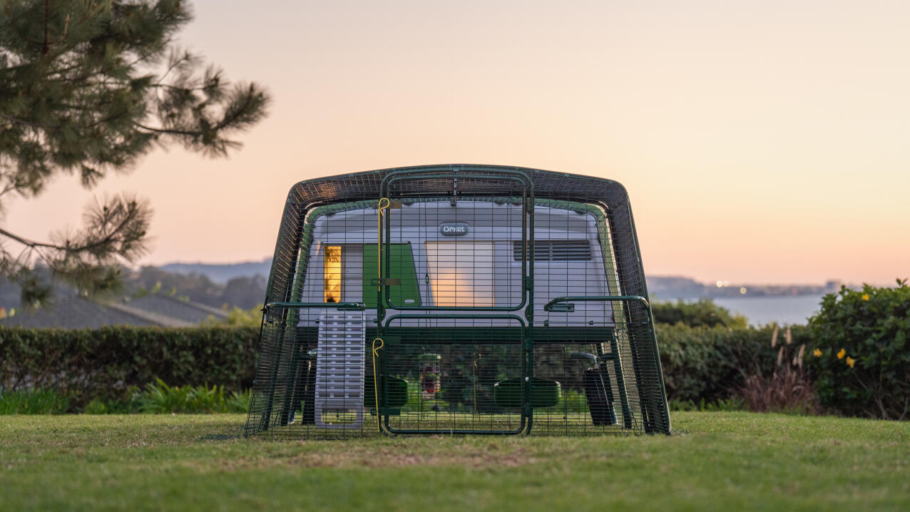 Eglu poulailler pro avec parcours au coucher du soleil avec une lumière de poulailler allumée