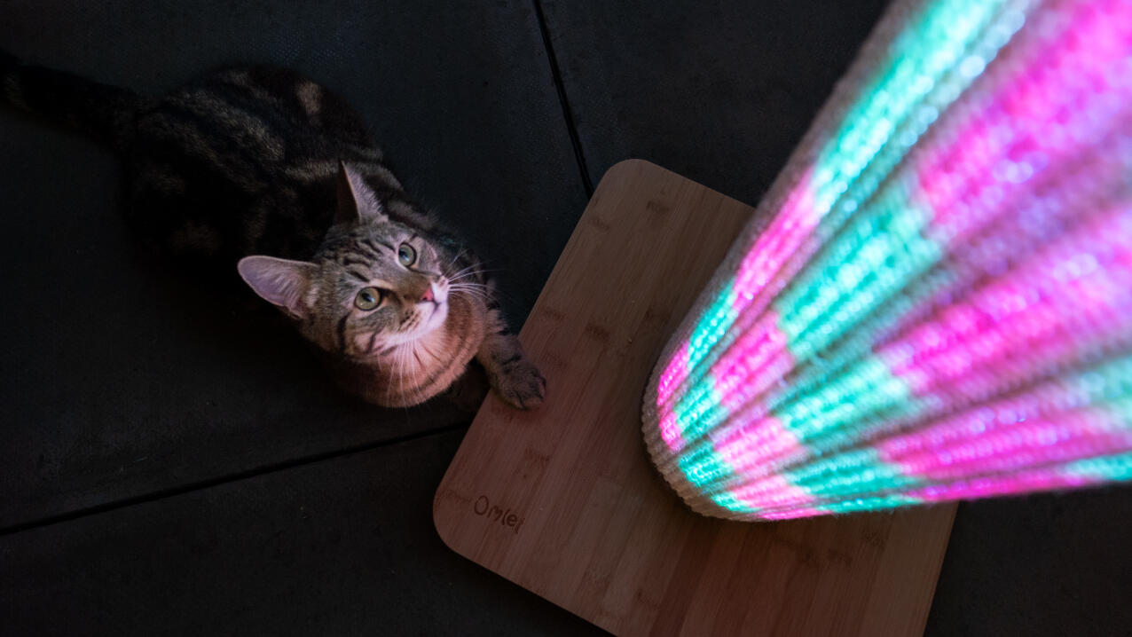 Chat regardant un griffoir illumine Switch avec mode lumineux rose et bleu