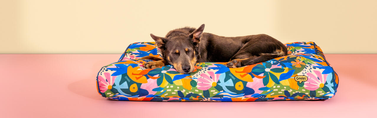 Chien se reposant dans un coussin lit pour chien