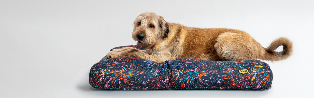 Chien de grande taille se reposant dans un grand coussin de lit pour chien