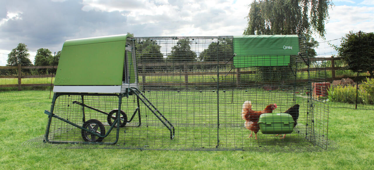 L’enclos, d’un beau vert foncé, est constitué d’acier robuste et garde vos poules à l’abri tout en se fondant dans le décor.