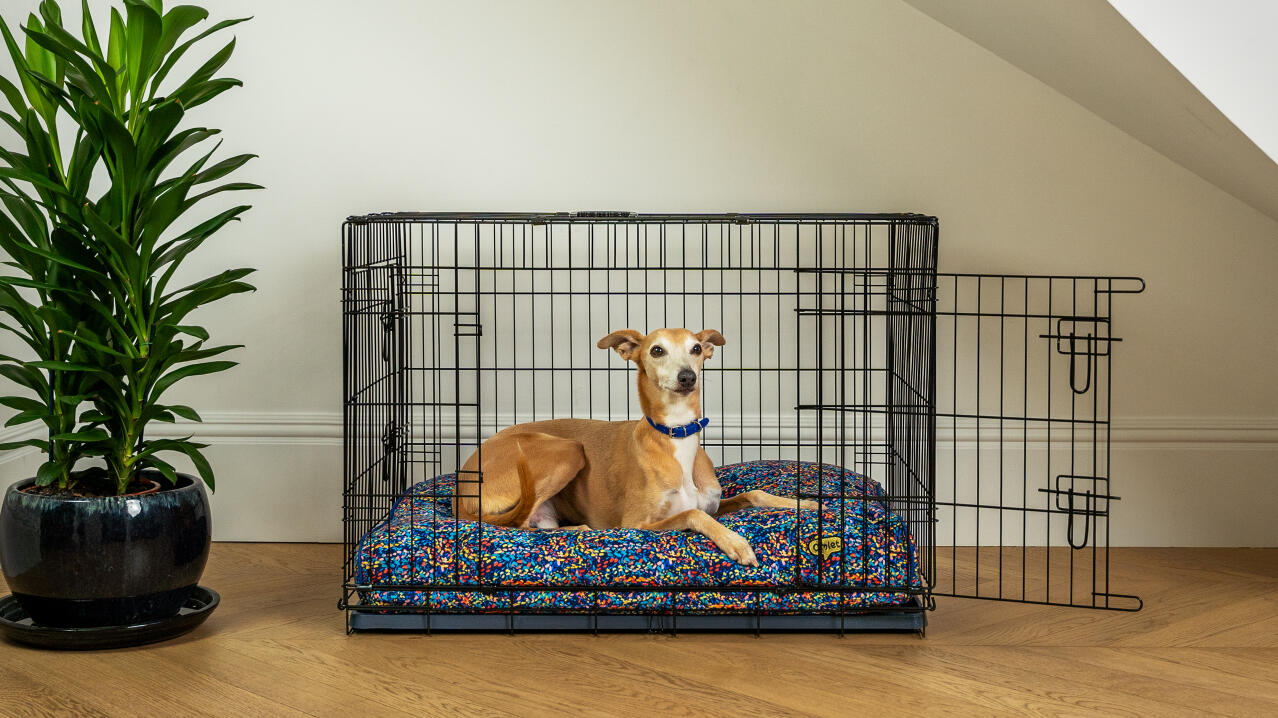 Un chien se reposant sur un coussin à l'intérieur d'une cage