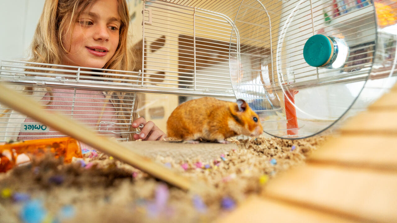 Petite fille surveillant son hamster dans la grande cage à hamster Omlet 