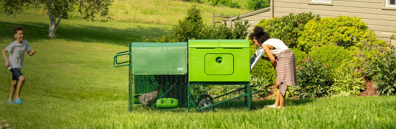 Eglu Cube grand poulailler avec parcours et poules