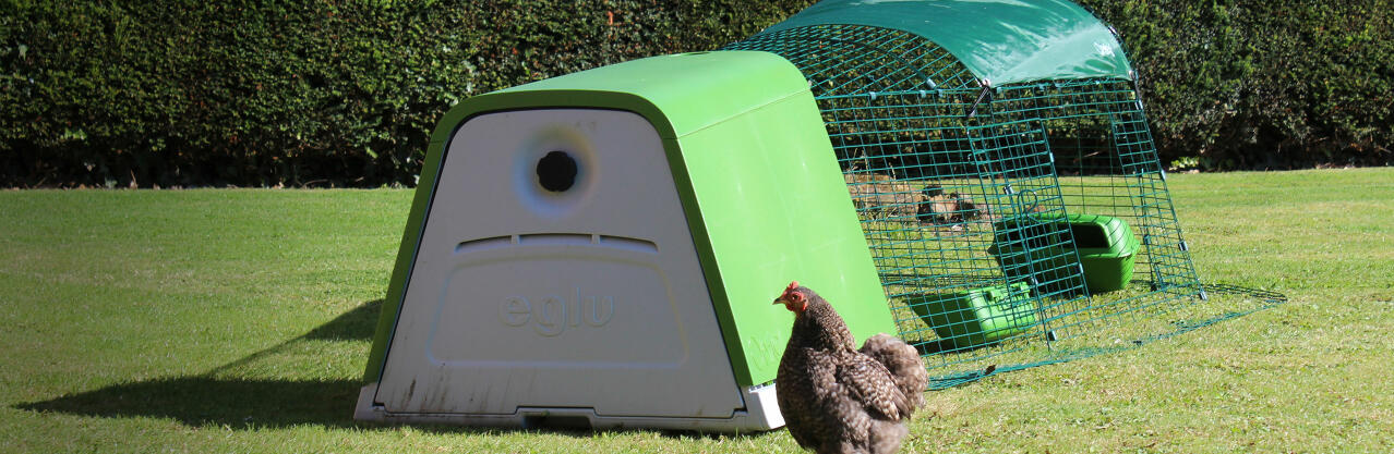 Eglu Go poulailler avec parcours et poules