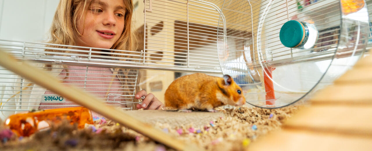 Fille jouant avec un hamster dans la cage Omlet 