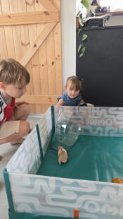 Enfants jouant avec leur hamster dans le parc à hamster Omlet.