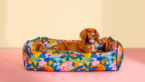 Chien se reposant dans un lit pour chien à traversin coloré de patterend Omlet