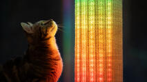 Chat regardant la lumière arc-en-ciel sur le griffoir Switch 