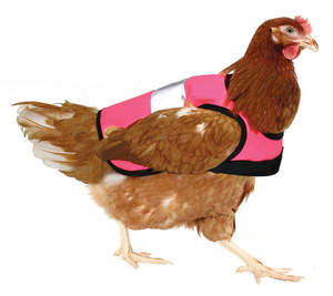 Gilet de signalisation pour poules – Rose