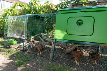 Jolie assise et qui fait partie de mon jardin !