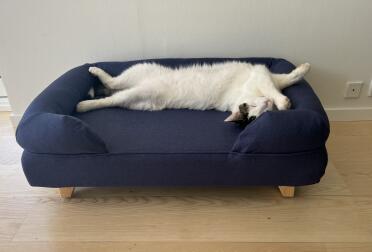 Un lit si beau et si confortable que notre chat mâle l'adore. je ne peux que recommander ce lit