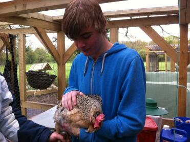 16 ans ont adoré le cours de poulet!