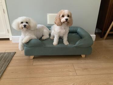 Mes deux enfants adorent leur lit à traversin ❤️