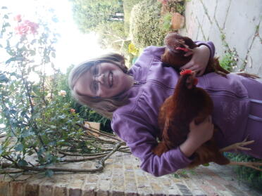 Katie et les poulets