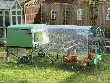 Maintenant nous pouvons voir tout autour du jardin sur des perchoirs plus élevés.