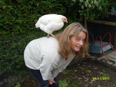 Poulet debout sur le dos d'une femme