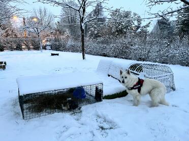 Sous la neige et bien protégé 