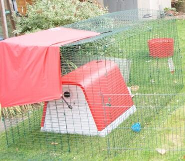 Omlet rouge Eglu Go poulailler en plastique dans le jardin