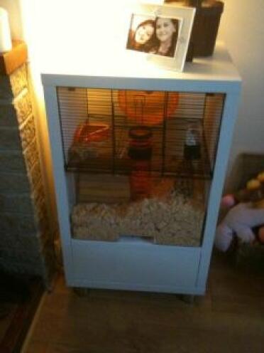 Blanc Omlet Qute cage pour hamster