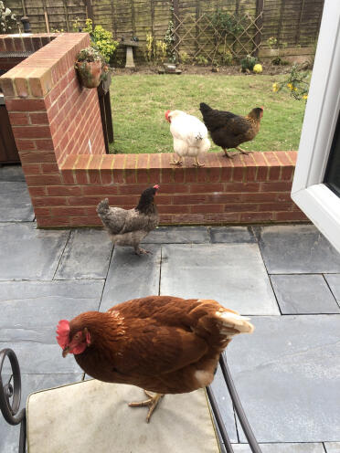 Mes filles adorent ma compagnie dans le jardin, elles m'appellent ! 