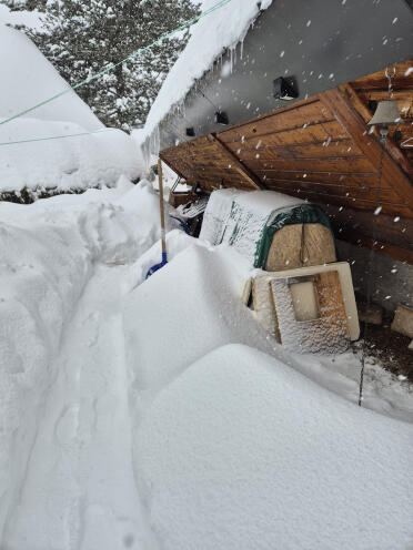 Poulailler sous la neige