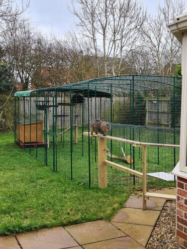 Mon catio géant