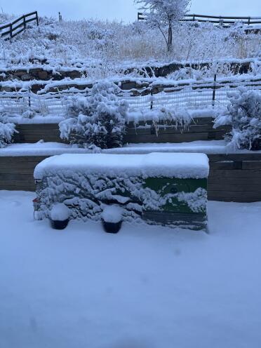 Les filles restent bien au chaud dans leur Eglu Cube . 