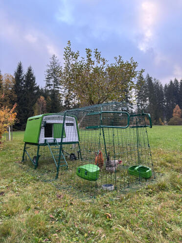 Eglu Cube dans le jardin