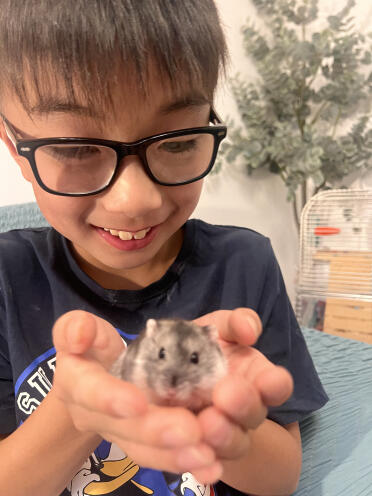 Mon hamster et mes enfants adorent la cage à hamster Omlet!