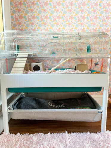 Nous adorons notre nouvel habitat pour hamster Omlet! 