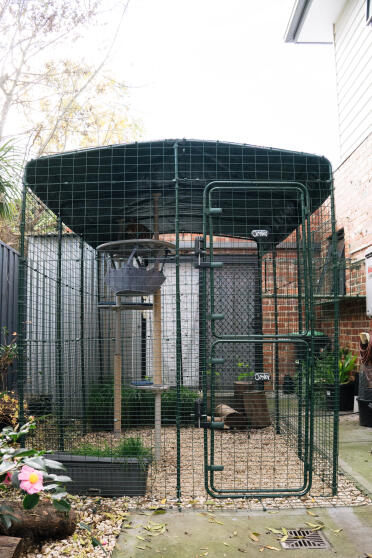 Notre catio complet avec Freestyle accessoires