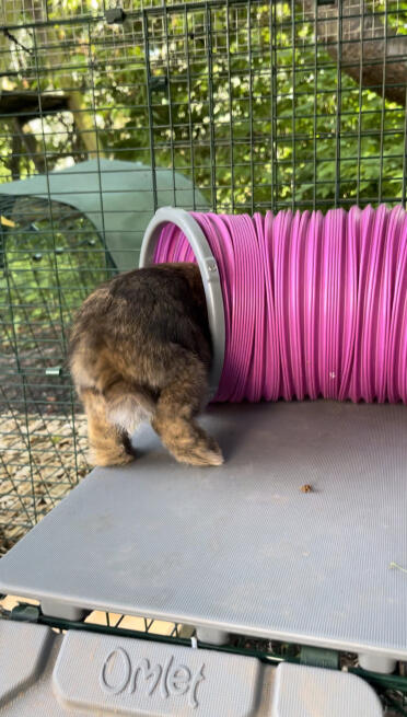 Daisy disparaît dans le tunnel 