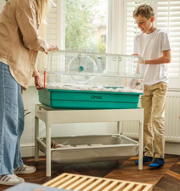 Une mère et son fils qui font descendre une grande cage pour hamster dans le cadre en acier