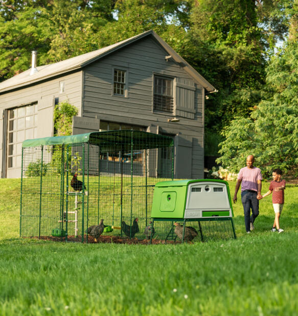 Un poulailler Eglu Cube attaché à un grand enclos pour poules