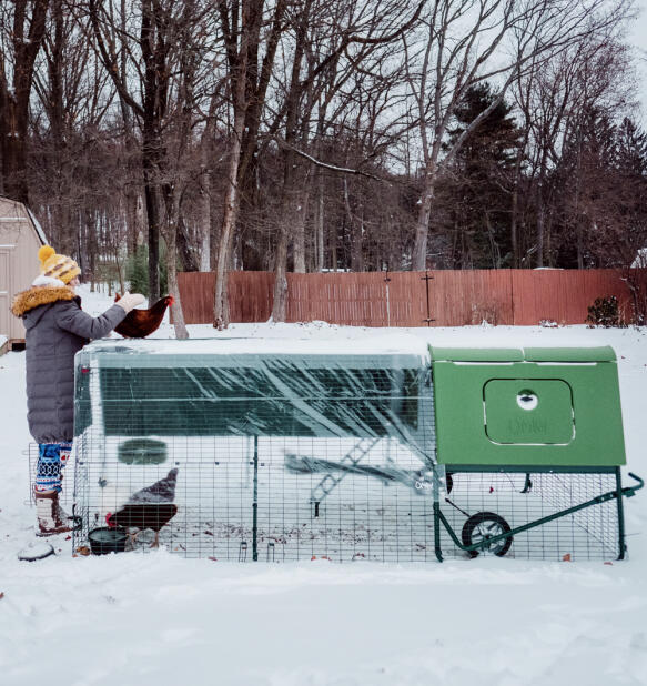 Une femme s’occupant de ses poules dans la neige