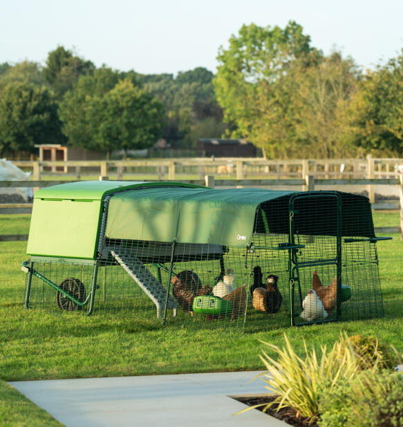 Poules dans l'enclos d'un poulailler Eglu Pro avec couverture de protection contre les intempéries robuste.