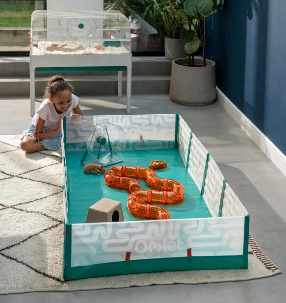 Petite fille qui surveille son hamster dans un parc de jeu dépliable