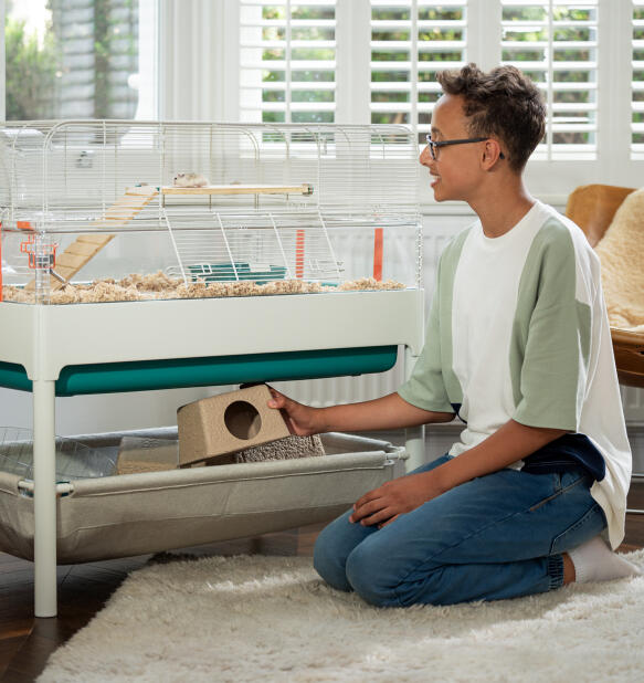 Jeune garçon qui utilise l’étagère de rangement de la cage pour hamster Omlet