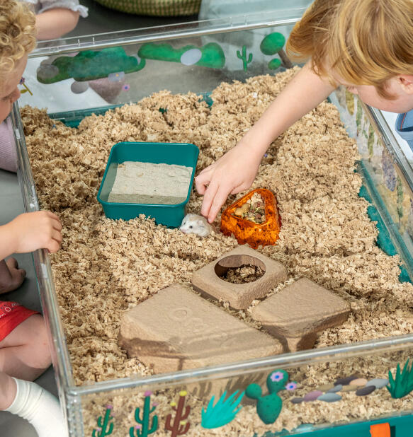 Vue de dessus de la grande cage pour hamster Omlet avec ses accessoires