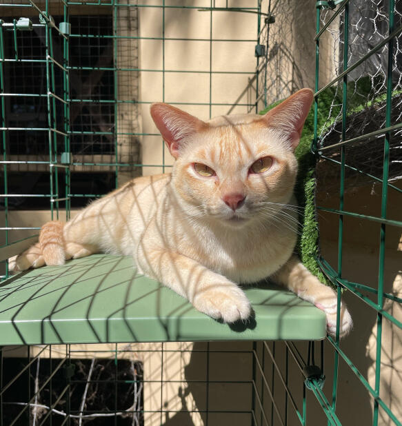 Chat dans un tunnel sécurisé pour chat avec passerelle