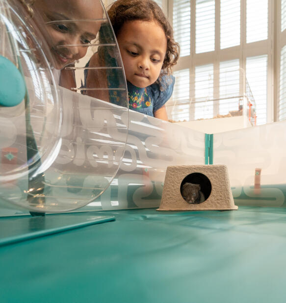 Deux enfants qui surveillent leur hamster dans un parc de jeu dépliable avec accessoires