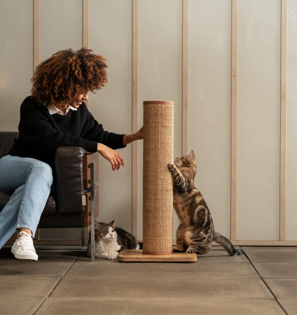 Femme qui interagit avec ses chats qui jouent avec le griffoir pour chat Switch de couleur café.