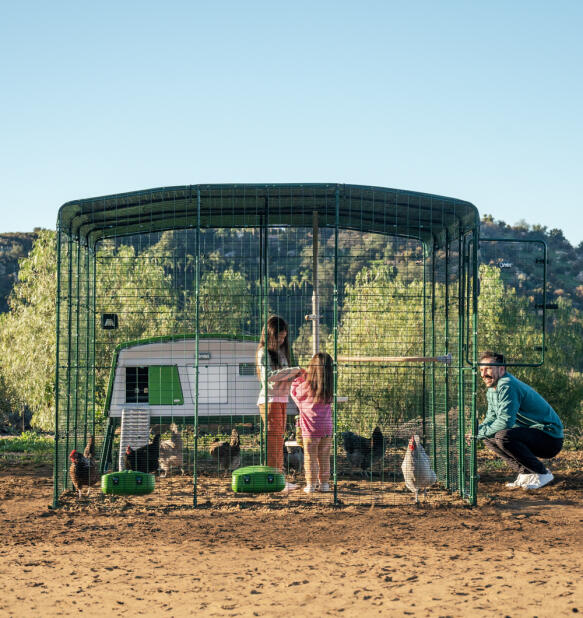 Famille avec son poulailler Eglu pro et son Grand Enclos pour poules avec une Porte Automatique intelligente