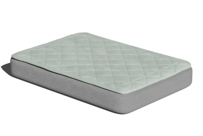 Lit pour chien, surmatelas