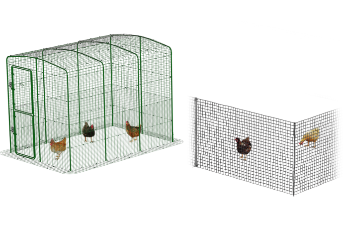 Enclos de promenade et clôtures pour poulets